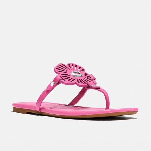 🎀 Coach Julia Sandal size 6 - Picture 6 of 11